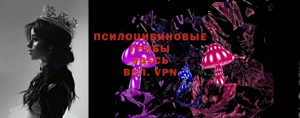 гашик Балахна