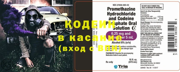 гашик Балахна