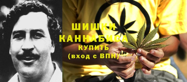 гашик Балахна