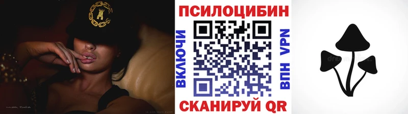 Галлюциногенные грибы Cubensis  как найти закладки  Выкса 